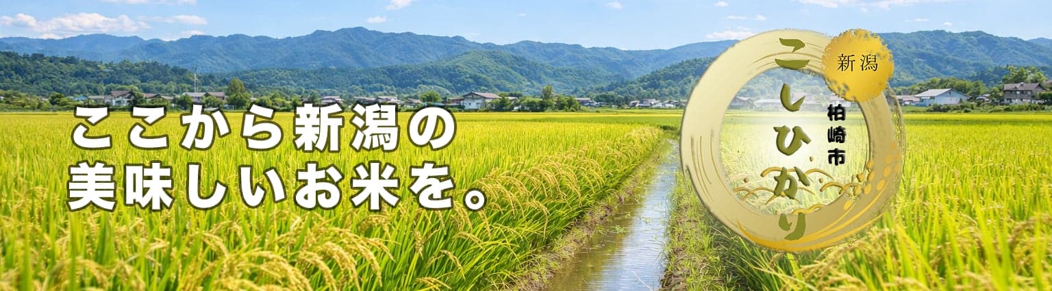 ここから新潟の美味しいお米を。新潟 柏崎市 こしひかり